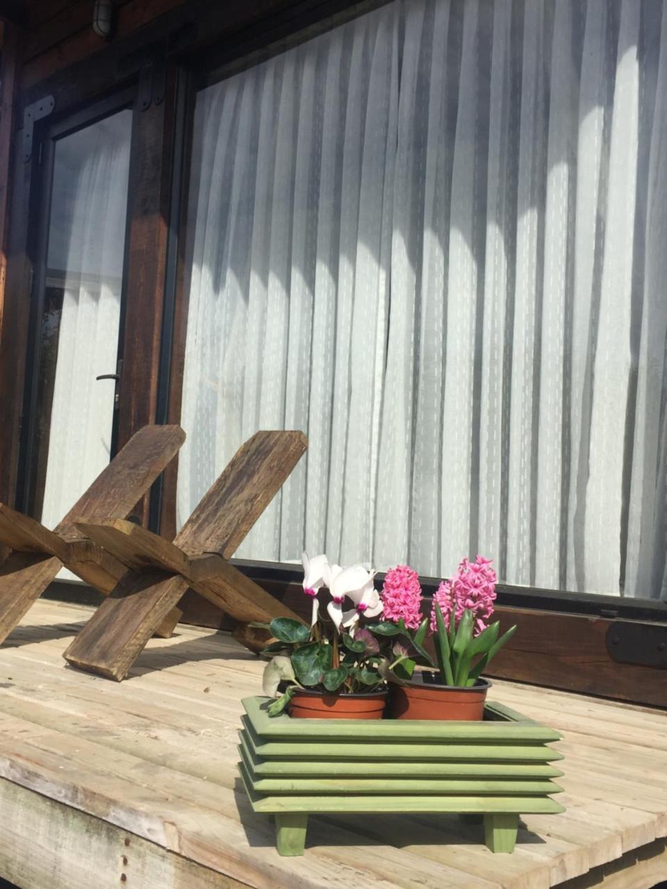 Palo Santo Bed & Breakfast Pichilemu Exterior foto